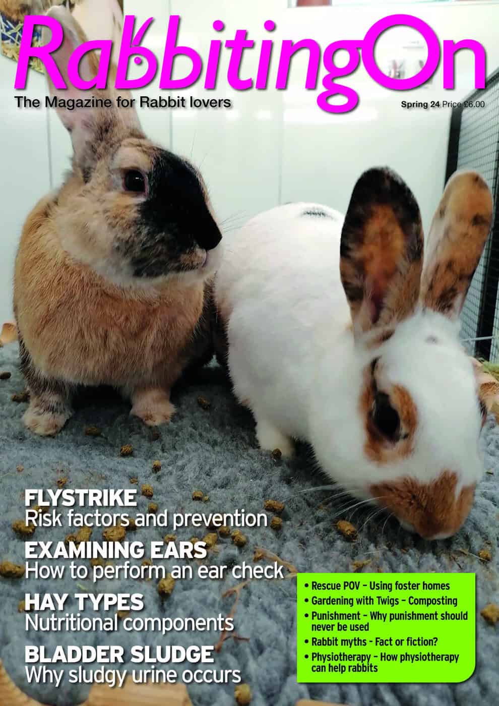 Rabbiting On Magazine