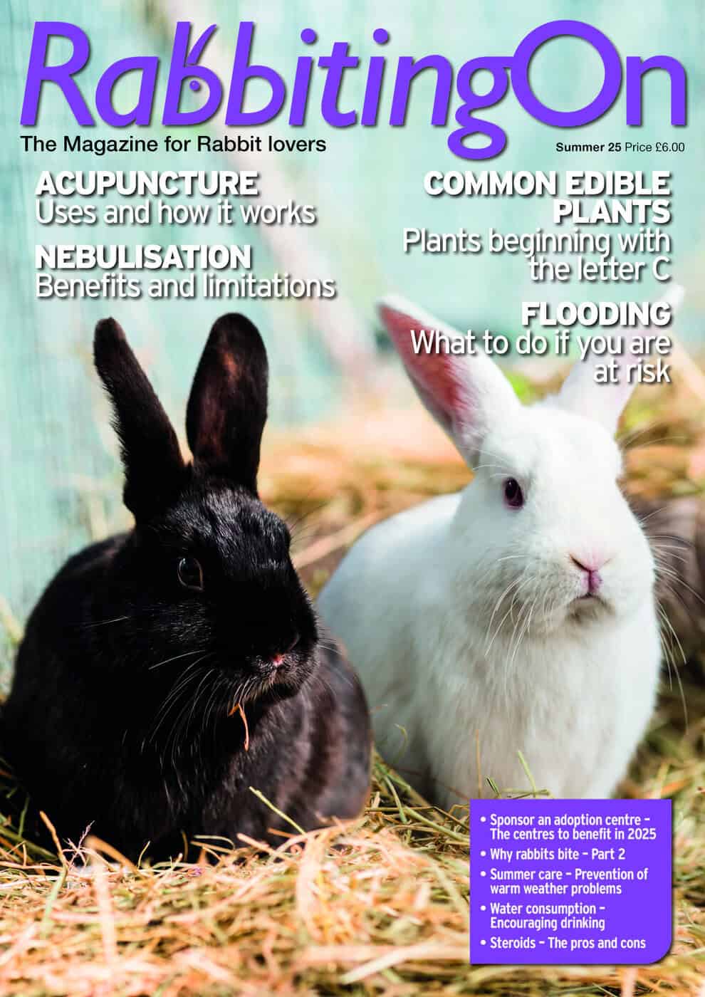 Rabbiting On Magazine