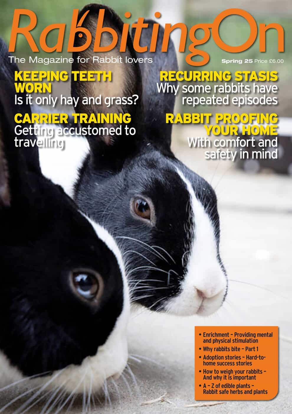 Rabbiting On Magazine